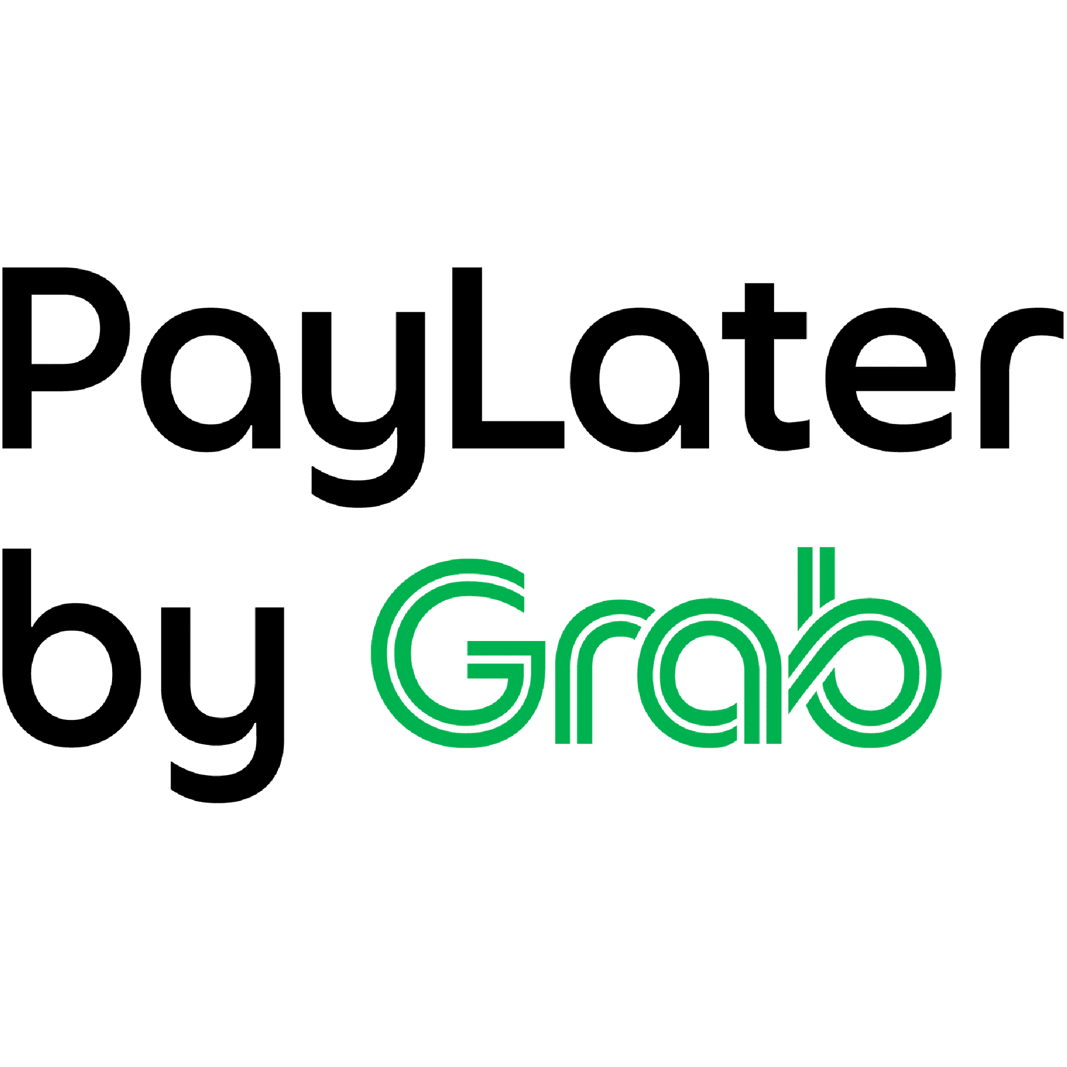 GrabPayLater